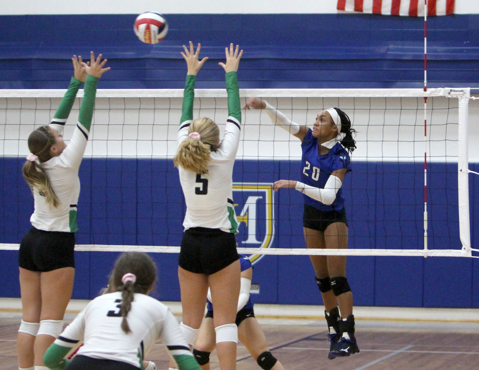 Eau Claire Regis at McDonell volleyball 9-12-19